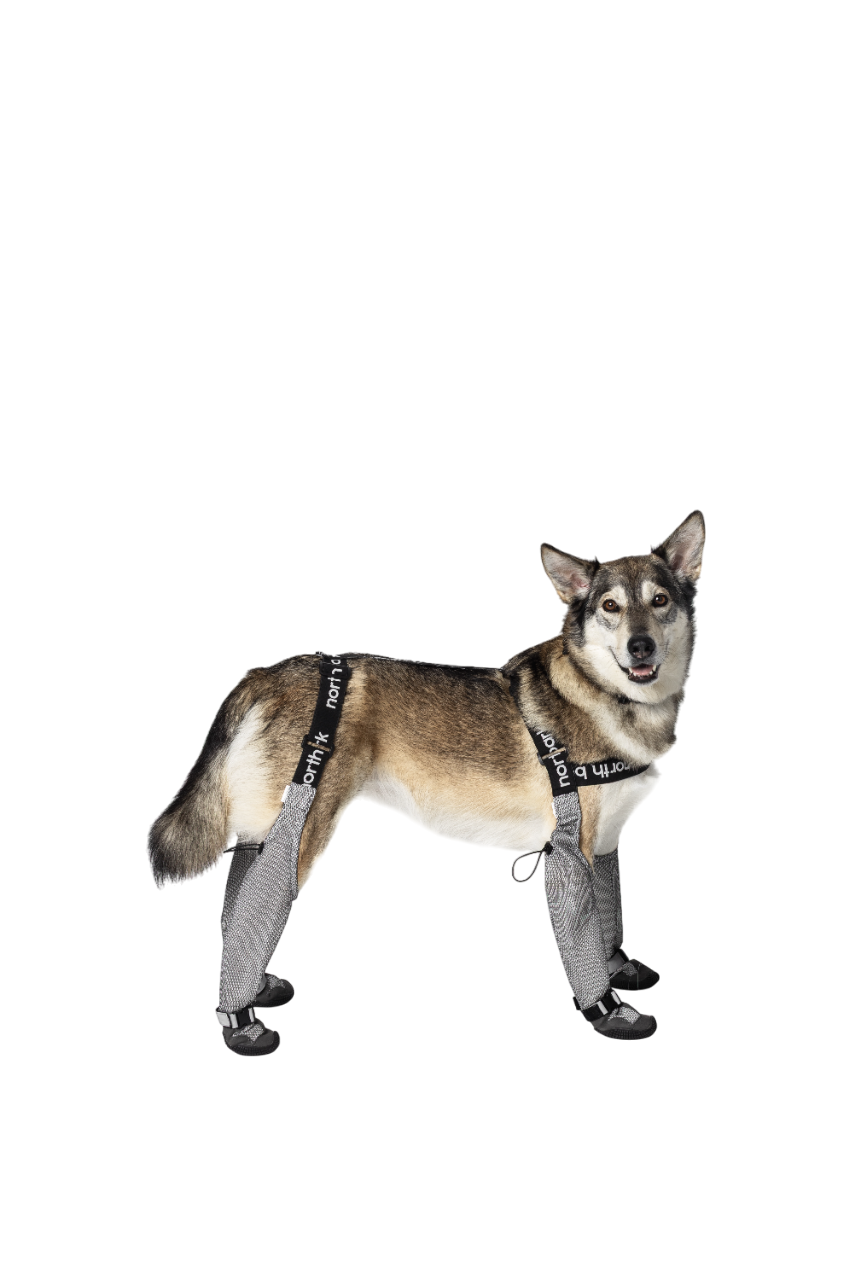 all-terrain suspender boots