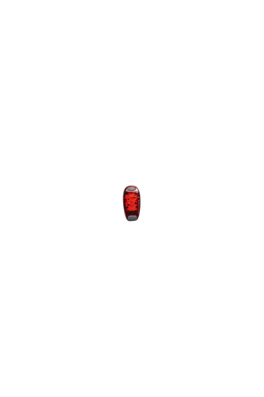 clip-on safety light