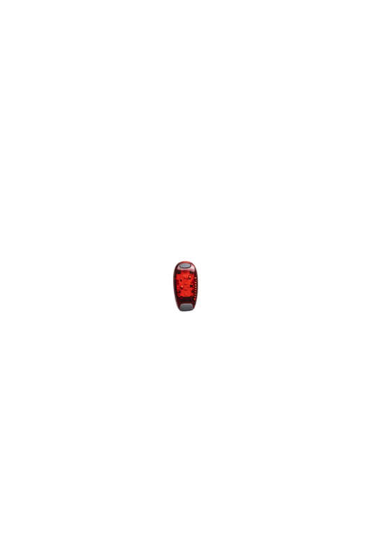 clip-on safety light